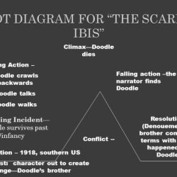 The scarlet ibis plot diagram