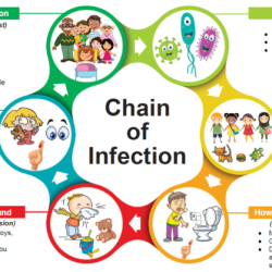 The spread of pathogens worksheet