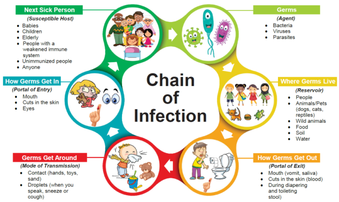 The spread of pathogens worksheet