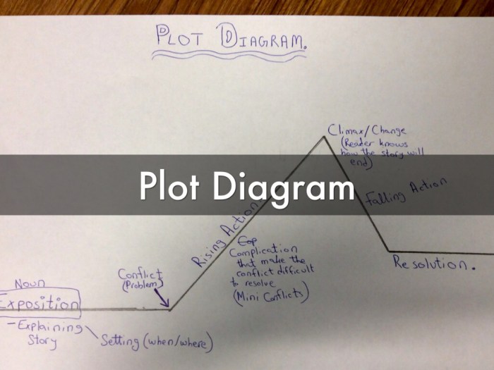 The scarlet ibis plot diagram