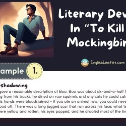 Literary devices for to kill a mockingbird