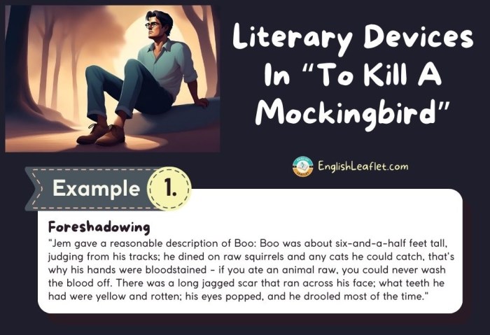 Literary devices for to kill a mockingbird