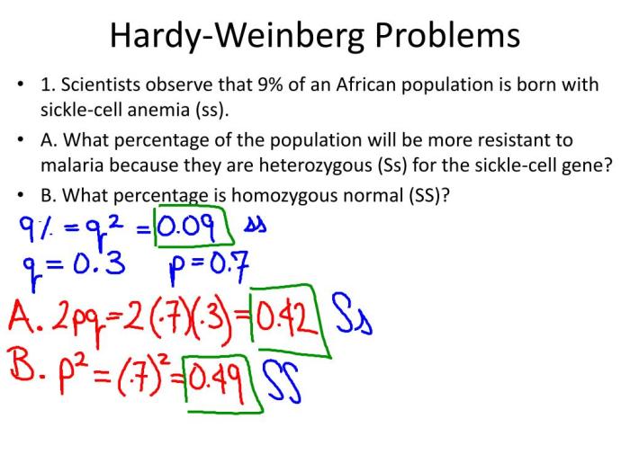 Hardy-weinberg goldfish lab answer key