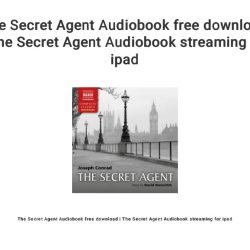 Agentes secretos book in english