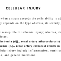 Chapter 16 care of patients experiencing urgent alterations in health